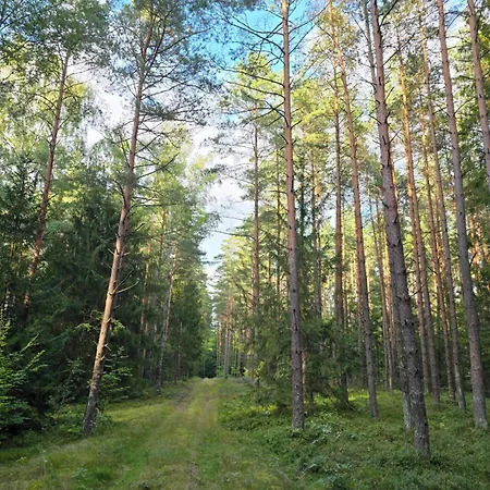 Bosko - Bania, Jacuzzi, Kino Plenerowe, Ognisko, Rowery, Sup - Wszystko W Cenie Holiday home *